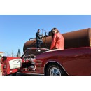 Richa Daytona Lady Rot