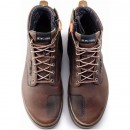 Dartwood WP Braun